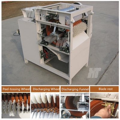 ราคาดี เครื่องลอกผิวถั่วเหลืองถั่วลิสงเปียก ISO Broad Bean Peeler Peanut Wet Peeler ออนไลน์