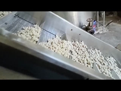 เครื่องทอดต่อเนื่อง