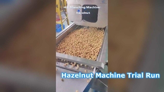 วิดีโอทดลองรันเครื่อง Hazelnut มาแล้ว! ทางเลือกที่สมบูรณ์แบบสำหรับโรงงานแปรรูปอาหาร #เครื่องจักร