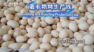 เครื่องทำเบอร์เกอร์ถั่วลิสงเคลือบ/สายการผลิต#peanut#productionline#machine#coating#roaster