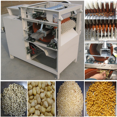 ราคาดี เครื่องปอกถั่วลิสงสแตนเลส 304 Fava Bean Broad Bean Peeling Machine ออนไลน์