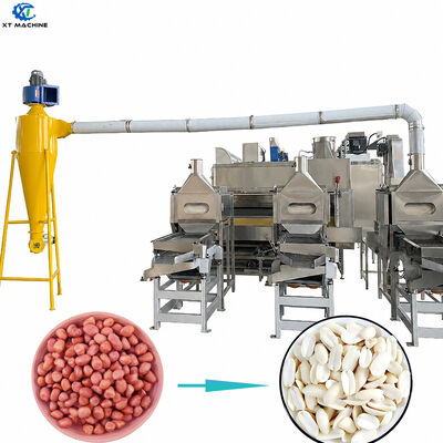 ราคาดี คุณภาพสูง 1000kg/h-2000kg/h SUS304 เครื่องตัดและบลานชิ่งถั่ว สําหรับอุปกรณ์แปรรูปถั่ว ออนไลน์