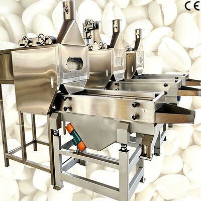 Máquina blanqueadora de granos de cacahuete partidos, equipo preciso de corte y blanqueado para procesamiento de cahuete เครื่องทําสีเมล็ดถั่วเหลืองพรรค, เครื่องตัดและทําสีถั่วเหลืองพรรค